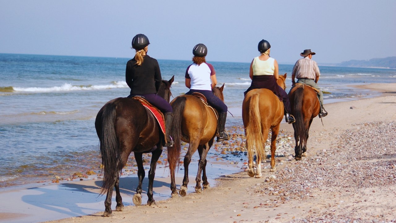 Beach Rides | Desert Trails Horseback Riding